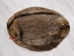 Extra-Wide Beaver Skin: #1: Extra-Large: Gallery Item - 50-1-XL-G3204 (Y1L)