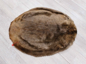 Extra-Wide Beaver Skin: #1: Extra-Large: Gallery Item extra wide beaver skins, extra large beaver skins