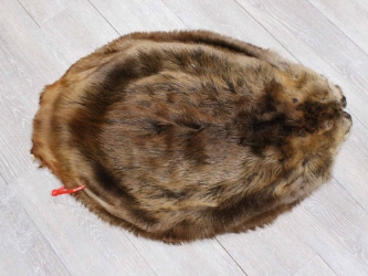 Extra-Wide Beaver Skin: #1: Extra-Large: Gallery Item extra wide beaver skins, extra large beaver skins