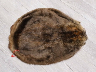 Extra-Wide Beaver Skin: #1: Extra-Large: Gallery Item extra wide beaver skins, extra large beaver skins