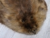Extra-Wide Beaver Skin: #1: Extra-Large: Gallery Item - 50-1-XL-G3211 (Y1L)