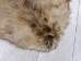 Extra-Wide Beaver Skin: #1: Extra-Large: Gallery Item - 50-1-XL-G3215 (Y1L)