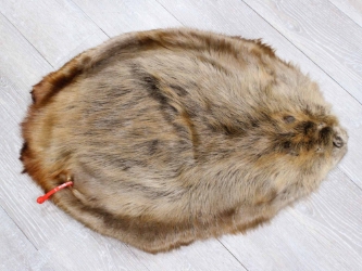 Extra-Wide Beaver Skin: #1: Extra-Large: Gallery Item extra wide beaver skins, extra large beaver skins