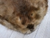 Extra-Wide Beaver Skin: #1: Extra-Large: Gallery Item - 50-1-XL-G3216 (Y1L)