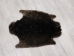 Sheared Beaver Rug: Gallery Item - 50-50-G3147 (Y1ERL)