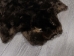 Sheared Beaver Rug: Gallery Item - 50-50-G3148 (Y1ERL)