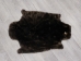 Sheared Beaver Rug: Gallery Item - 50-50-G3148 (Y1ERL)