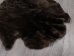 Sheared Beaver Rug: Gallery Item - 50-50-G3149 (Y1LRP)