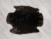 Sheared Beaver Rug: Gallery Item - 50-50-G3149 (Y1LRP)