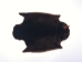 Sheared Beaver Skin: Gallery Item - 50-55-G1212 (Y1LRL)