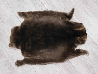 Sheared Beaver Skin: Gallery Item 