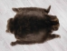 Sheared Beaver Skin: Gallery Item - 50-55-G3146 (Y1LRL)