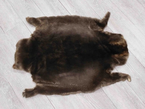 Sheared Beaver Skin: Gallery Item 