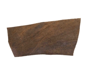 Moose Antler Palm: Piece: Gallery Item 