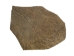 Moose Antler Palm: Piece: Gallery Item - 513-PC-G2460 (Y3HRG)
