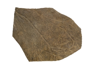 Moose Antler Palm: Piece: Gallery Item 