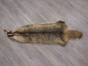 North American Badger Skin: Trading Post Grade: Gallery Item 