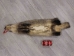 North American Badger Skin: Trading Post Grade: Gallery Item - 52-TP-A-G3112 (Y2DRJ)