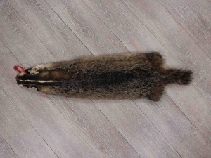 North American Badger Skin: Trading Post Grade: Gallery Item 
