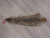 North American Badger Skin: Trading Post Grade: Gallery Item - 52-TP-A-G3113 (Y2DRJ)