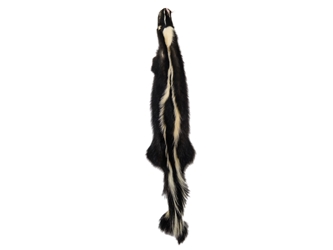 Skunk Skin: Gallery Item skunk hides, skunk pelts, skunk furs