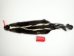Skunk Skin: Gallery Item - 54-TP-G2107 (Y1K)
