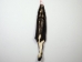 Skunk Skin: Gallery Item - 54-TP-G2107 (Y1K)