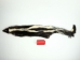 Skunk Skin: Gallery Item - 54-TP-G2113 (Y1KWR)