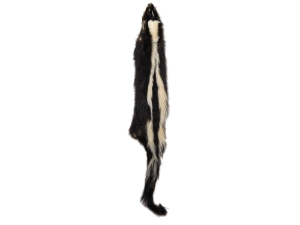 Skunk Skin: Gallery Item skunk hides, skunk pelts, skunk furs