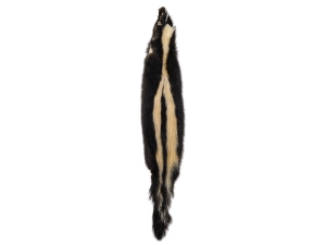 Skunk Skin: Gallery Item skunk hides, skunk pelts, skunk furs