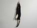 Skunk Skin: Gallery Item - 54-TP-G3132 (Y1KWR)