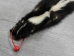 Skunk Skin: Gallery Item - 54-TP-G3132 (Y1KWR)