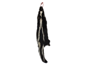 Skunk Skin: Gallery Item skunk hides, skunk pelts, skunk furs