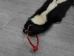 Skunk Skin: Gallery Item - 54-TP-G3134 (Y1KWR)