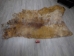 Cow Rawhide: Full Hide: Thick: Natural: Gallery Item - 55-20-FULL10-G2423 (Y2JRO)