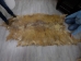 Cow Rawhide: Full Hide: Thick: Natural: Gallery Item - 55-20-FULL10-G2423 (Y2JRO)