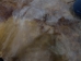Cow Rawhide: Full Hide: Thick: Natural: Gallery Item - 55-20-FULL10-G2423 (Y2JRO)