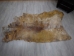 Cow Rawhide: Full Hide: Thick: Natural: Gallery Item - 55-20-FULL10-G2423 (Y2JRO)