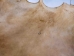 Elk Rawhide: Gallery Item - 55-30-25-G3968 (Y2JRR)