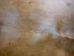 Elk Rawhide: Gallery Item - 55-30-25-G3969 (Y2JRS)
