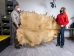 Elk Rawhide: Gallery Item - 55-30-25-G3983 (Y2JRS)