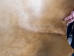 Elk Rawhide: Gallery Item - 55-30-25-G3986 (Y3DRE)