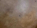 Elk Rawhide: Gallery Item - 55-30-25-G3986 (Y3DRE)
