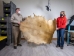 Elk Rawhide: Gallery Item - 55-30-25-G3986 (Y3DRE)