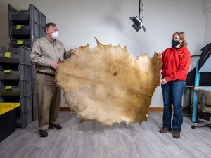 Elk Rawhide: Gallery Item 