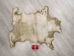 Goat Rawhide: Large: Gallery Item - 55-50L-G4230 (Y2JRP)