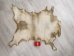 Goat Rawhide: Large: Gallery Item - 55-50L-G4231 (Y2JRR)