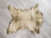 Goat Rawhide: Large: Gallery Item - 55-50L-G4231 (Y2JRR)
