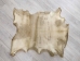 Goat Rawhide: Large: Gallery Item - 55-50L-G4233 (Y2JRP)