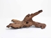 Driftwood: Extra Large (7+ lbs): Gallery Item - 562-XL-G3731 (Y3G-B5)